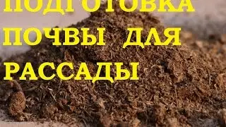 Подготовка почвы для рассады.
