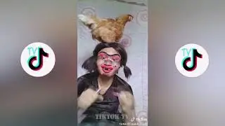 Best Funny TikTok Videos Compilation 2019