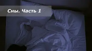 Что такое сон с биологической точки зрение и почему мы видим сны? | Часть 1