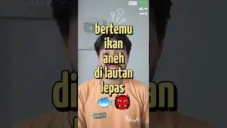 BERTEMU IKAN ANEH 