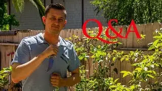 CSGO Default T knife Q&A