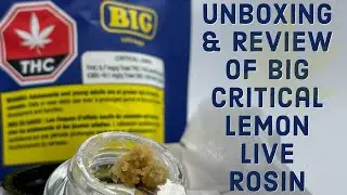 BIG Critical Lemon Live Rosin | Unboxing , Review & First Impression |