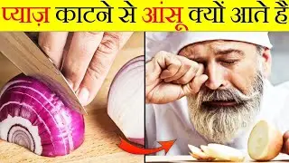 Top 3 Amazing facts 😍 | interesting facts | random facts 