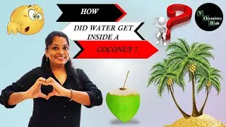 How did Water get inside a coconut?? 🧐🤨
