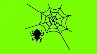 Spider Greenscreen Effects | Free