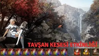 Tavşan Kesesi Etkinliği | Mena