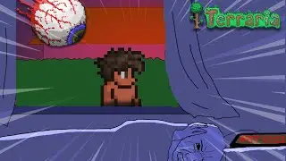 My Neighbours when Terraria's New Update is released