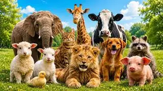 Amazing Animal Sounds for Kids 🦁🐘 | Learn Animal Names & Real Sounds .