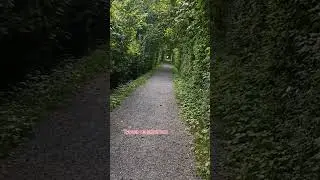 04.08.24г🌹Супер, класс!!!😊