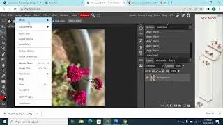 How to change color of pictures, basic