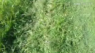 Установка ятєря на річці