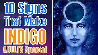 This Is What Makes INDIGO ADULTS Special
