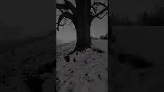 отер омыр