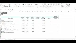 Intangible Assets Short Tutorial