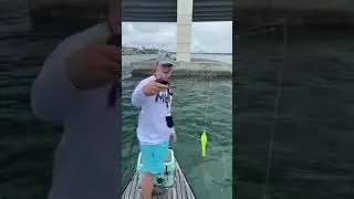 Strongest Ice Rod Ever 
