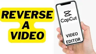 how to reverse a video in capcut | 2022 video editor