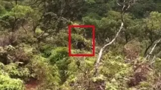 The tourist posted this photo and disappeared without a trace. After studying the photo, people wer