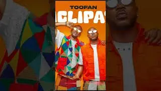 #ziglipata