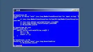 Lesson12 Some Specific Exceptions | Certified Programmer for Java