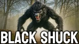 ✅ What is the Black Shuck? | The Mysterious Story of the Black Shuck from The Conjuring EXPLAINED