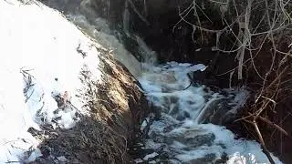 какой-то день весны.