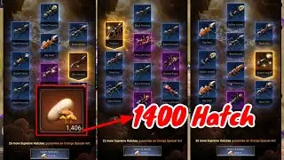 1400 biggest hatch till now in 9+1 hatch || The Ants Underground Kingdom