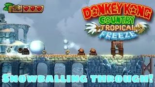 Donkey Kong Country: Tropical Freeze (Switch) Part 24