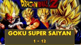 Dragon Ball Z Goku All Form Super Siayan 1 - 12