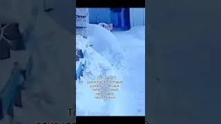 Плов: звезда