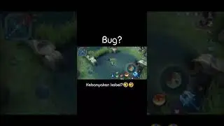 Freestyle bug fanny, strightcable??