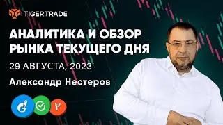 Разбор ликвидных инструментов МосБиржи, монет BTC, ETH, LTC с Александром Нестеровым — Tiger.Trade