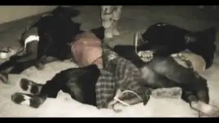 Disgrace - Mental Disorder (MUSIC VIDEO)