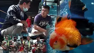 FV VLOG #104:  Araw ng Dabaw Face-to-Face Goldfish Show 2022