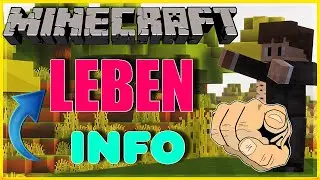 🌳 MINECRAFT LEBEN PROJEKT INFO 🌳 MINECRAFT MITSPIELER GESUCHT 📈 Roleplay - SMP - Mit euch - Deutsch