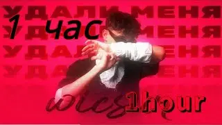 Wicsur/Бискас - Удали Меня (Official audio) 1hour/1час