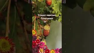 Последний день лета  #прощайлето  #31августа #1сентября