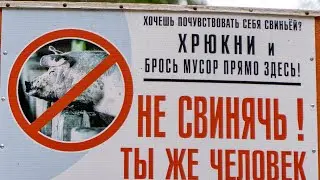 Путешествие к роднику 