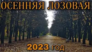 Осенняя Лозовая. Парк дружбы 25.10.2023