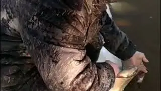 НЕ ОЖИДАЛИ ТАКОГО УЛОВА😱 🙄.