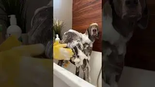 МЫ ОТМЫЛИ ОСКАРУ ПОПКУ 😍
