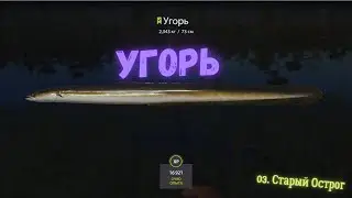 Русская рыбалка 4 (РР4) оз. Старый Острог УГОРЬ /Russian fishing 4 Old Burg EEL