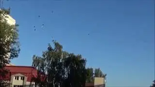 Мой  ПАСАДКА № 3