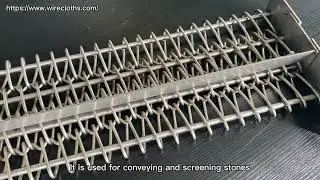 REKING stainless steel chain mesh conveyor belt