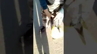 У полудурка за 2 секунды лопнул мячик
