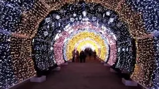 Новый Год Москва 2016 г
