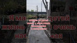 Весна всё оживает расцветает и мамы тоже. 