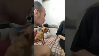 довели Бонапарта до препадка🤣 
