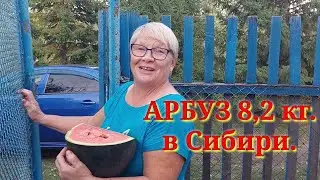15 сентября 2023 г.