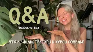 Курсы сомелье, что в моем вишлисте и отношения с гостями в турах// ВОПРОС-ОТВЕТ