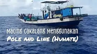 Fishing for Skipjack Tuna Using Pole and Line (Huhate)